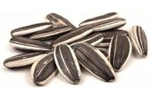 FOXCUP Sementi Dotto Bonus Semi di Girasole Striato Piccolo 12kg (mangime per uccelli)