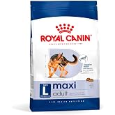 Royal Canin Maxi Adult B&uuml;y&uuml;k Irk Yetişkin K&ouml;pek Maması 15 Kg
