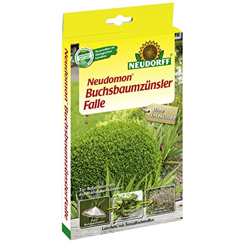 NEUDORFF - Neudomon BuchsbaumzünslerFalle