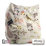 LittleBloom, Reusable Pocket Cloth Nappy, Fastener: Popper, Set of 1, Pattern 14, Without Insert, (see "Special Offers and Product Promotions" for Special Offers Detail)