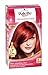 Schwarzkopf Palette Intensive Cream Colour, Ruby Red Number 678 - Pack of 3