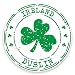 Produktbild 2 x Irland Vinyl Aufkleber Aufkleber Laptop Auto Reise Gepäck Label Tag # 9326 - 10cm/100mm Wide