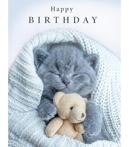 Greeting Cards | Fawn & Thistle | Cards For All Occasions