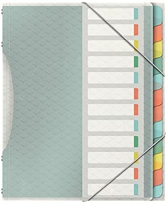 Esselte 626256 Colour'Ice Esselte Trieur A4 capacité 200 feuilles index Interchangeable avec 12 Onglets double fermeture élastique couverture en PP Transparent Couleurs Assorties