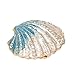 Produktbild qifu handbemalt emailierten Shell Style Dekorative Scharnier Schmuck Schmuckkästchen Einzigartiges Geschenk für Home Decor