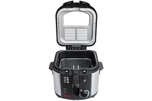 WeGeek, Freidora eléctrica, 1600 W, 3 L, filtro de carbono, cesta extraíble, cuerpo de acero