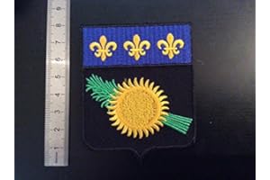 BLUE HAWAI ECUSSON PATCHES AUFNAHER TOPPA - BLASON DEP 971 GUADELOUPE - THERMOCOLLANT