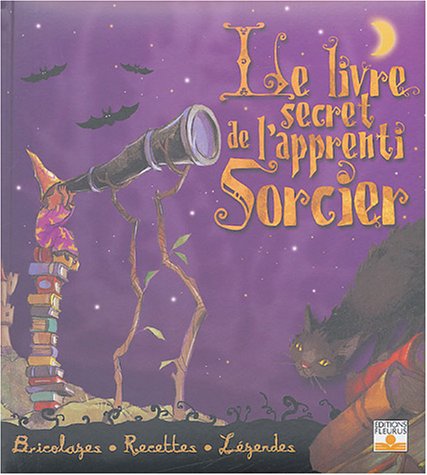 couverture de : Le livre secret de l'apprenti sorcier