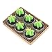 Produktbild ONEVER 6pcs Non-Spill-Kaktus Kerze Dekorative Teelichter f¨¹r Xmas Party Hallowmas Hochzeit Kerzen Startseite