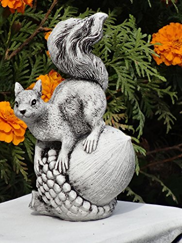 Waldtier Eichhörnchen 03 ca.18 cm ca. 1 kg Frostfest Stein Nr.316 - 4