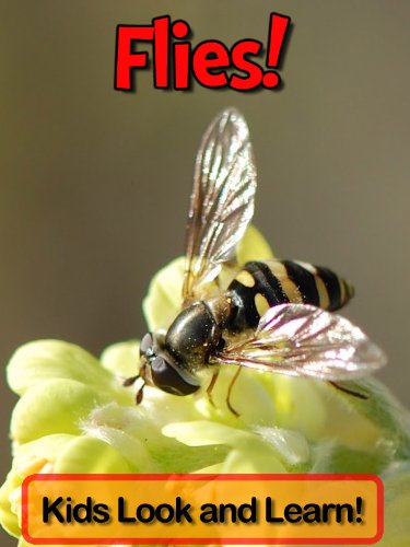 Flies! Learn About Flies and Enjoy Colorful Pictures - Look and Learn! (50+ Photos of Flies) (English Edition) livre