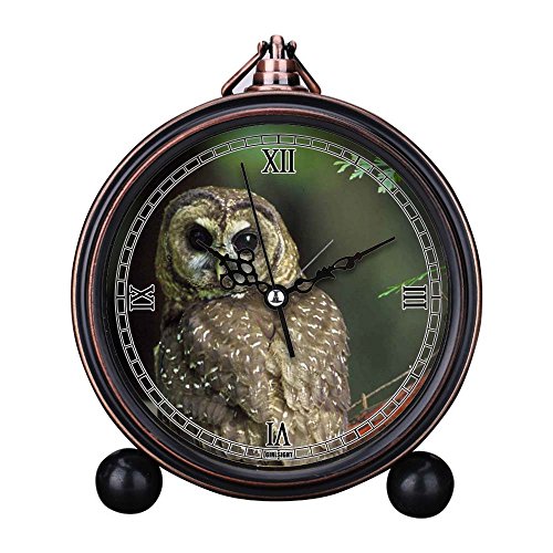 Girlsight Nostalgie Retro salón de decoración, no tickend, HD Lente de Cristal, fácil de Leer, Cuarzo, analógico, números Grandes, Noche Mesa, Escritorio, Despertador, búho, pájaro