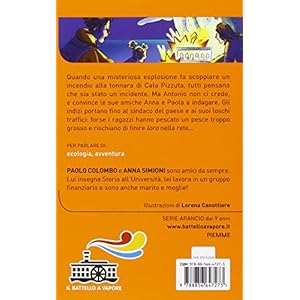 Un'estate, tre amici e un mare di guai