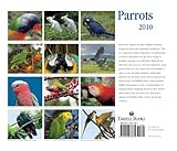 Image de Parrots 2010 Calendar: Endorsed by the World Parrot Trust: Saving Parrots Worldwide