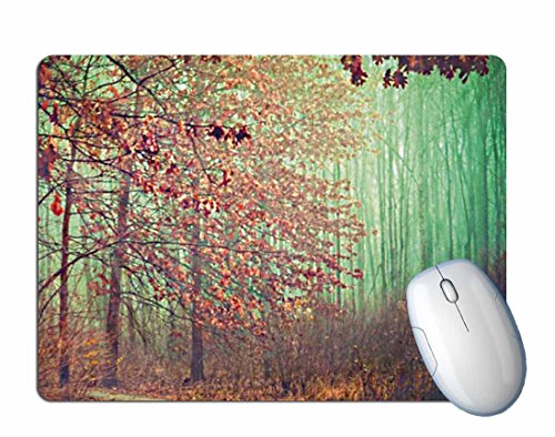 Preisvergleich Produktbild PLYY Landschaftsmuster-Spiel-Mausunterlagen, 2mm Starke Mausunterlage mit Rutschfester Gummibasis, Unterstützung für Computer, PC und Laptop (30 * 25 * 0.2cm) - 4 Arten vorhanden, b1-2