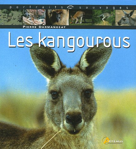 Les kangourous gratuit Les kangourous gratuit