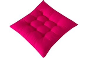 FANSU Coussin de Chaise Lot de 1 2 4 6, Galette de Chaise 45x45cm avec Attache, Coussins de Chaises Epais, Coussin pour Chaise de Salle à Manger et Jardin (2 Pièces,Rose Rouge)
