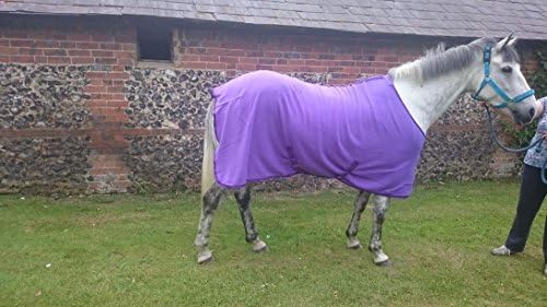 NEW Royal Purple Polar Fleece Horse or Pony Travel Show Rug or Stable (6ft0in)