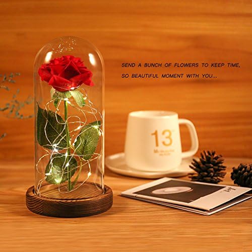 Happy Mother's Day Gift, Red Silk Rose and LED Light with Fallen Petals in Glass Dome on a Wooden Base, Valentine's Day Gift, Best Gift for Her (Brown Base)