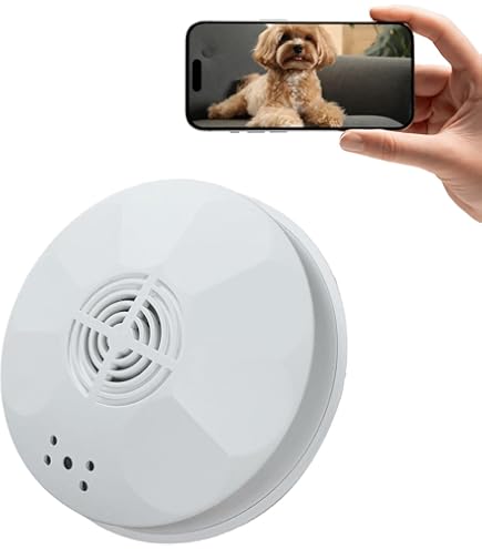IPW SMOKE HDP 128GO   Detecteur de fumee factice camera WiFi P2P HD