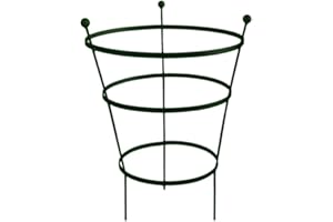 Garden Pride Peony Cage Plant Support - Available in plastic coated or raw steel, designed to rust - Heavy Duty Peony Cage plant Support (62cm Tall - Pack of 1, Raw Steel - Designed to Rust)
