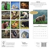 Image de Bears 2016 Calendar