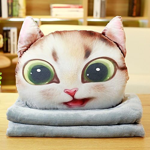 Yancyong Thick Quilt Pillow Cushion Dual-Use Office Lunch,Pillow 40X40 Cm,A Bad Brown Cat