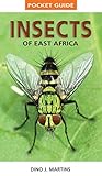 Image de Pocket Guide Insects of East Africa
