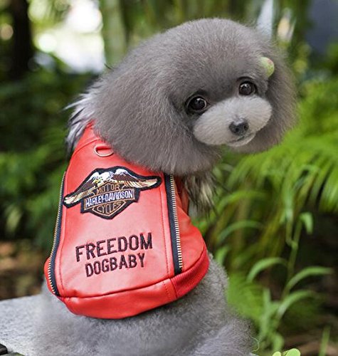 Preisvergleich Produktbild Dogs Kingdom Personalisieren Motorrad Jacke mit Pelzkragen Hund Pet Leder Jacke Kleidung