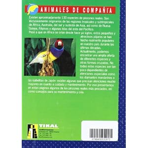 Pájaros exóticos