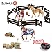 Produktbild SCHLEICH - Reiterhof - 2 Stuten & 1 Fohlen + Zaun und viel Zubehör