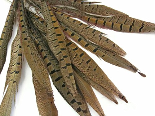 ERGEOB Federn, Fasan federn, 30-35cm/ 12-14 Zoll Länge Fasan Schwanzfedern 10,30,50 stück - 2