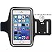 Price comparison product image Sports Armband, Shalwinn iPhone 6 Plus Armband Running Armband Water Resistant Running Arm Pack For 6S Plus 6 Plus, Moto Samsung And So On (Black,5.5-6.0" Screen)