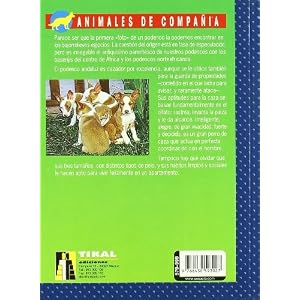 Podenco andaluz (Podenco Andaluz Y Maneto)
