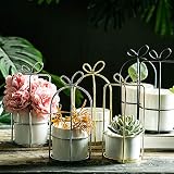 Esta glamurosa maceta moderna muestra la vegetación moderna de una manera simple pero elegante, y le agrega un toque moderno a su hogar.