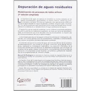 Depuracion de aguas residuales: Modelización de procesos de lodos activos. 2ª edición ampliada (Texto (garceta))
