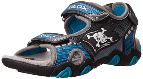 « Click to Enlarge and to go to Amazon »