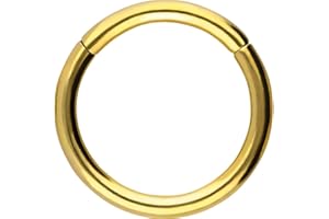 PIERCINGLINE Titanium Segment Ring Clicker, Piercing for Nose, Septum, Ear, Helix or Tragus