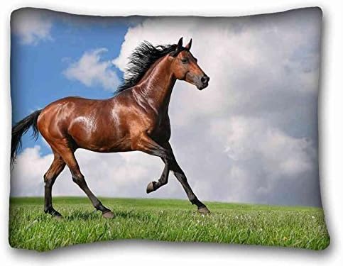 Custom Cotton &amp; Polyester Soft Animal Pillowcase Standard Size 20"X26" Design Pillow Case Cover suitable for Twin-bed