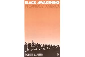 Black Awakening in Capitalist America: An Analytic History