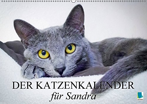 Der Katzenkalender für Sandra (Wandkalender 2017 DIN A2 quer): Besinnliche und heitere Lebensweisheiten (Monatskalender, 14 Seiten ) (CALVENDO Tiere)
