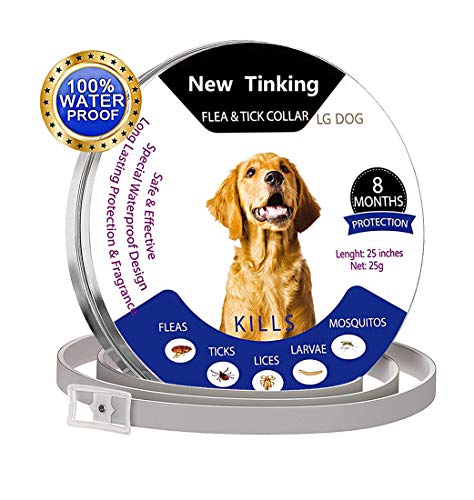 ProHomer - Cuello de Control de plagas, Impermeable, para Perro, antipulgas para 8 Meses (63 cm), Color Gris