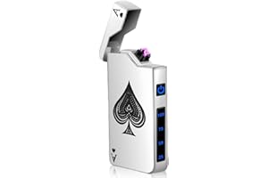LEIKURVO Mechero electrónico USB, encendedor de arco eléctrico, con indicador de batería, resistente al viento, de plasma pulsando un botón, color plateado