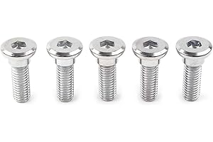 GZYF Motorrad-Schrauben, M8 x 25 mm, Innensechskantschrauben for Bremsscheiben, Befestigungselemente, passend for Kawasaki ZRX1100 1997–2001, for Kawasaki Ninja 300,for Versys 1000 2012–2019, 5 Stück