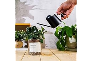 HOZZWHOO 300ML Stainless Steel Water Cans Long Sprinkling Pot Mini Metal Watering Can for Indoor Outdoor Plants