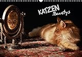 KATZEN Beautys (Wandkalender 2016 DIN A3 quer): Rassige Katzen mit Blues im Blut! (Monatskalender, 14 Seiten ) (CALVENDO Tiere) by 