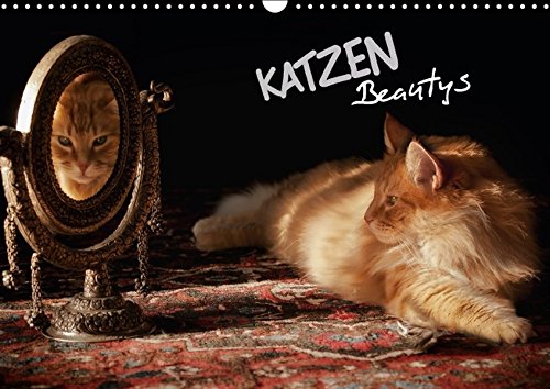 KATZEN Beautys (Wandkalender 2016 DIN A3 quer): Rassige Katzen mit Blues im Blut! (Monatskalender, 14 Seiten ) (CALVENDO Tiere)