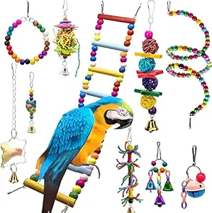 SHANTU Parrot cage Toys Bird Swing Toys Bells Bird Perch with Natural Wood Beads Bells Hanging Toys for Budgie Lovebirds Conures Parakeet African Greys Amazons Eclectus Cockatoos (10 Packs)