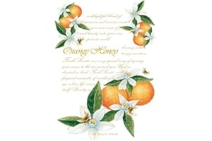 FRESH SCENTS BY TERRI Willowbrook Fresh Scents Duftsäckchen – Orange Honey