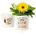 Produktbild Erzieher Geschenk Blumentopf (ø16cm) | für Abschied im Kindergarten mit Rahmen für zwei Fotos (10x15cm) | Erzieher pflanzen die Samen des Wissens, die ein Leben lang wachsen!